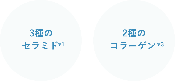 3種のセラミド*1 2種の
		  コラーゲン*3